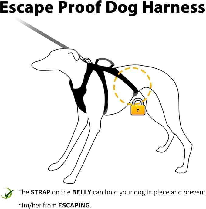 Escape Proof Dog Harness, No Pull Reflective Harness with Lift Handle, Adjustable Pet Vest with Front and Back Leash Clips for Small Medium Large Dogs Walking Hiking Training (Teal,XL)