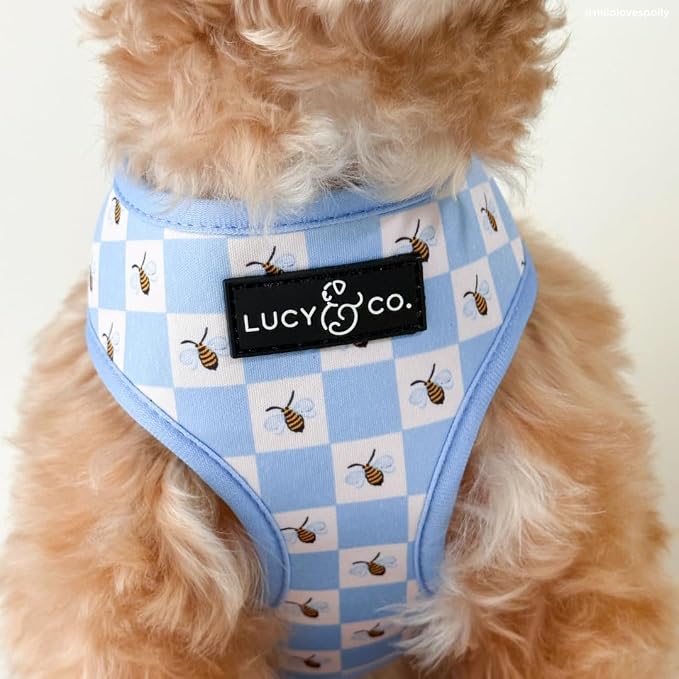 Lucy & Co. Reversible Dog Harness - Water-Repellent Neoprene, Dual-Print Design, Easy Swap Style, Adjustable Comfort Fit - Bumbling Around Reversible Harness - Small