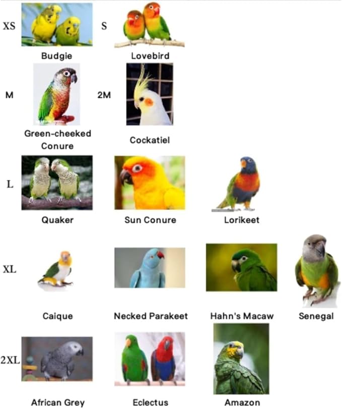 Bird Costume Bird Diaper Flight Suit Parrot Velvet Fleece Skirt Clothes Cosplay Photo Prop for Conure Lovebird Parakeet Cockatiel Macaw Small Animals Apparel (White,XX-Large)
