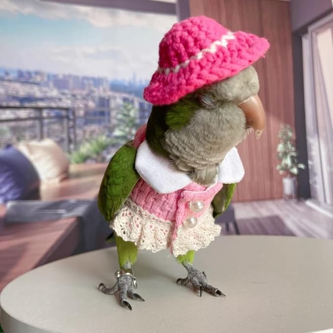 Bird Costume Bird Diaper Flight Suit Bird Pink Top Bird Clothes Cosplay Photo Prop for Parrots Lovebird Parakeet Cockatiel Small Animals Apparel (Sun Conure)