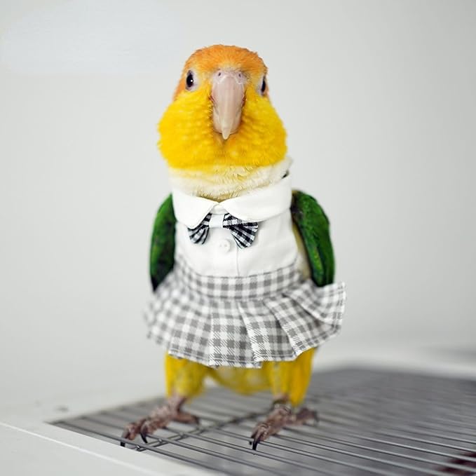 Bird Costume Bird Diaper Flight Suit Cute JK Dress Dress Skirt Clothes Cosplay Photo Prop for Parrots Macaw Cockatoo (with Diaper,L)