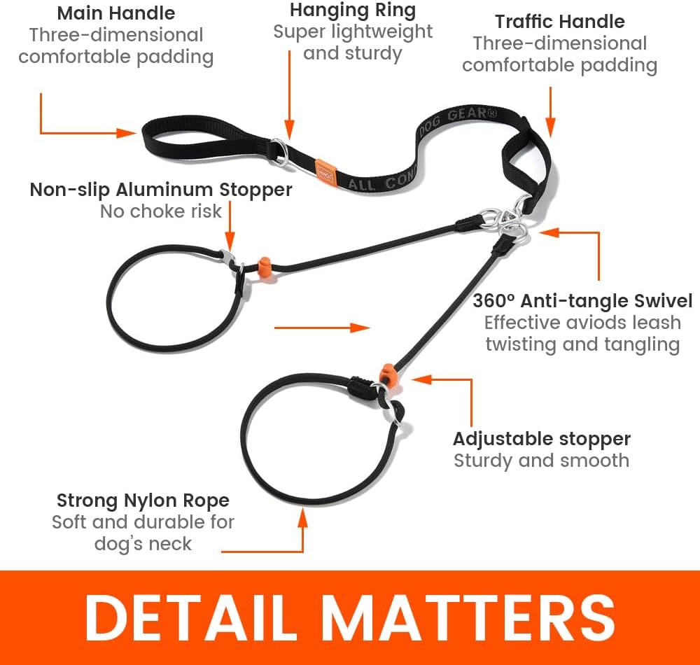 Howgo Double Slip Leash Slip Lead with Two Handles| Dual Dog Slip Lead for 2 Dogs,360° Swivel No Tangle | Dog Training Collar | Double Clip Leash Coupler and Splitter (MintGreen, 6FT)