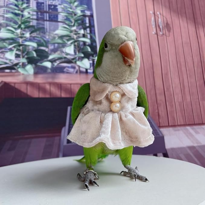 Bird Costume Bird Diaper Flight Suit Parrot Velvet Fleece Skirt Clothes Cosplay Photo Prop for Conure Lovebird Parakeet Cockatiel Macaw Small Animals Apparel (Pink,X-Small)