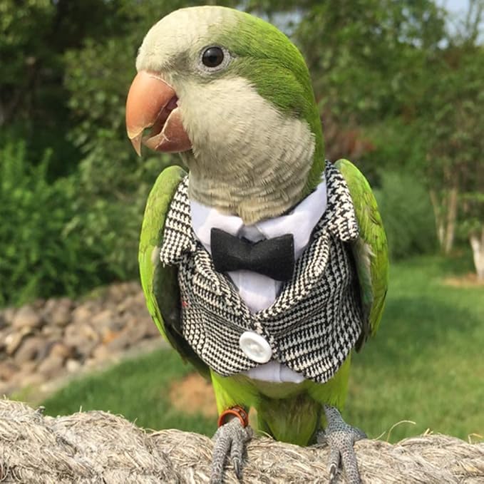 Bird Clothes Birds Flight Suit,Tuxedo Business Suit for Parrots African Greys Parakeet Cockatiel Sun Conure Christmas Party Birthday Cosplay Photo Prop Small Animals Apparel (L,Grid Suit)