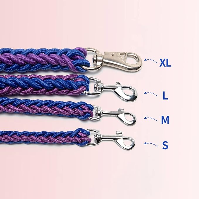Love Dream Dog Collar and Leash Set, Heavy Duty Nylon Braided Rope Strong 4 FT Dog Leash and Martingale Training Collar for Small Medium Large Dogs Training and Walking (Purple)