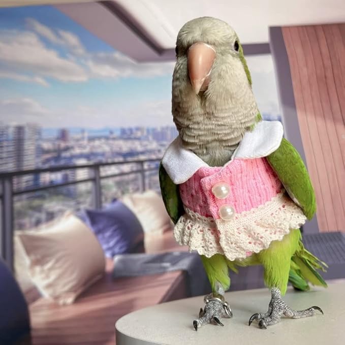 Amazon Bird Diaper Flight Suit - Pink Top Cosplay Photo Prop for Parrots, Lovebirds, Parakeets & Cockatiels - Small Animal Apparel