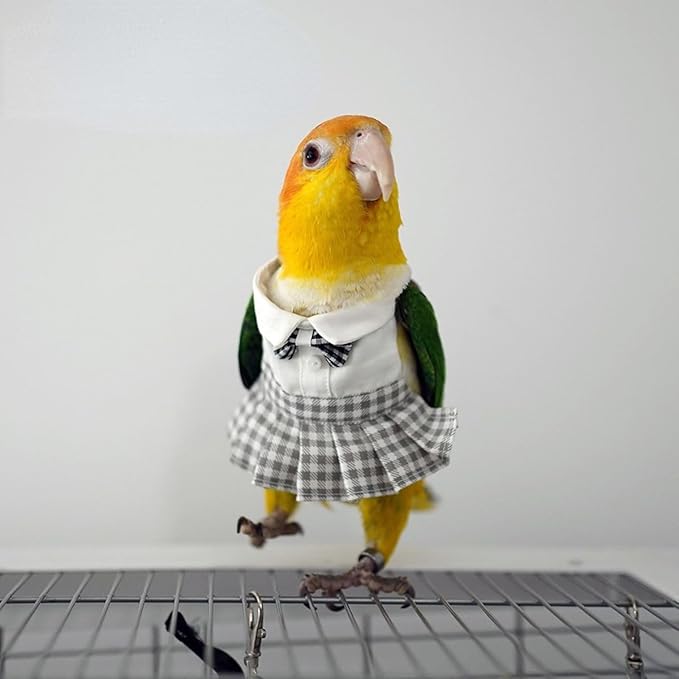Bird Costume Bird Diaper Flight Suit Cute JK Dress Dress Skirt Clothes Cosplay Photo Prop for Parrots Macaw Cockatoo (with Diaper,2XL)