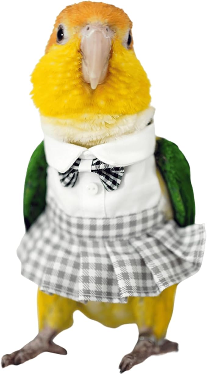 Bird Costume Bird Diaper Flight Suit Cute JK Dress Dress Skirt Clothes Cosplay Photo Prop for Parrots Macaw Cockatoo (with Diaper,2XL)