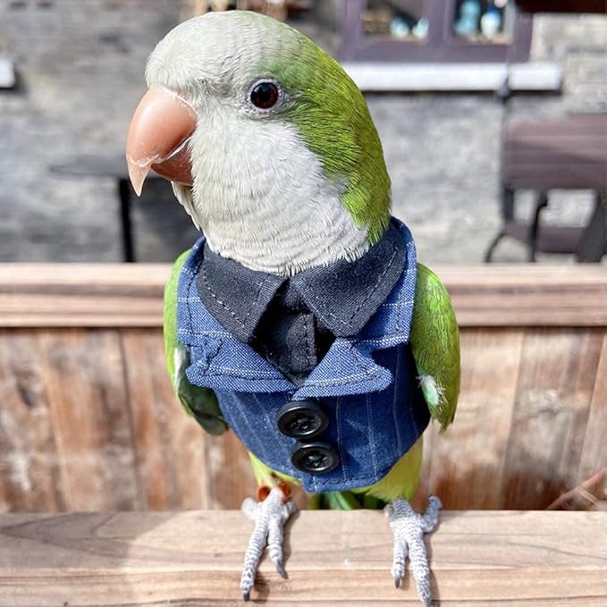 Bird Clothes Birds Flight Suit,Tuxedo Business Suit for Parrots African Greys Parakeet Cockatiel Sun Conure Christmas Party Birthday Cosplay Photo Prop Small Animals Apparel (M,Denim Suit)