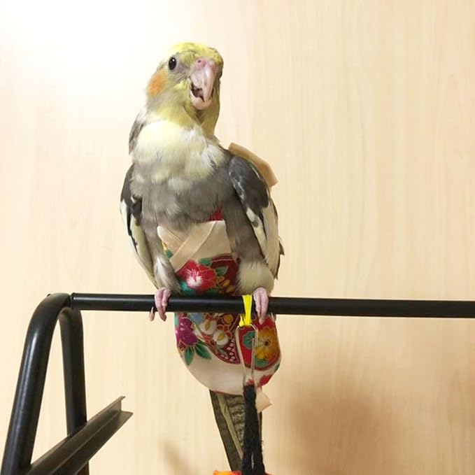 Bird Flight Suits Diapers, Parrot Flight Suits Diapers for Quaker Parakeets Cockatiels Flight Suits, Parrot Clothes (Red,2XL)