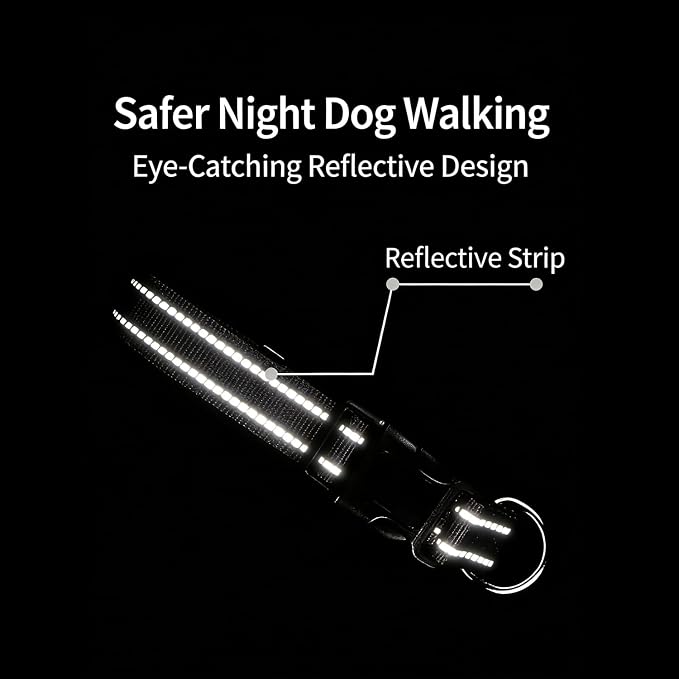 Dog Collar Leash Set, Gradient Color, with Safety Reflective Strips, 5 ft Matching Leash, Neoprene Padded Handle, Adjustable 4 Sizes for Small Medium Large Dogs.(S, Lilac Pink)