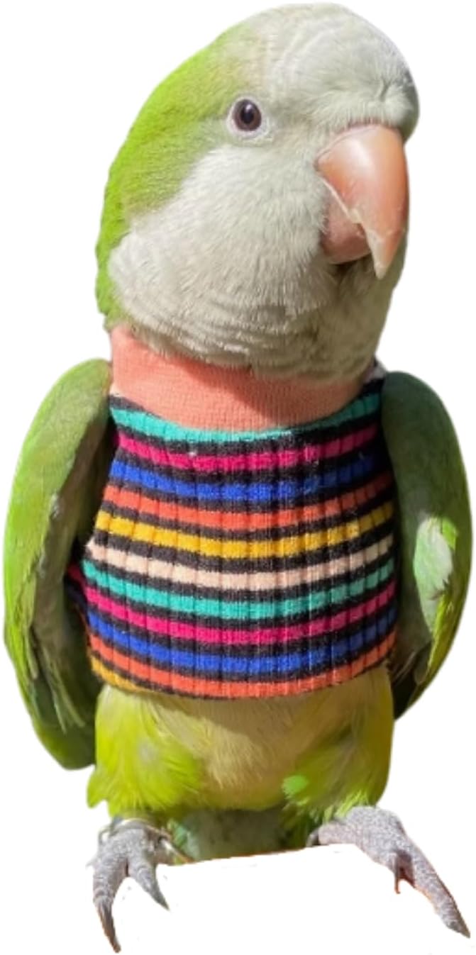 Bird Clothes - Handmade Cotton Stripe Shirt Round Collar Sweater Flight Suit for Parrots African Greys Parakeet Cockatiel Sun Conure Christmas Halloween (with Diaper,2XL)