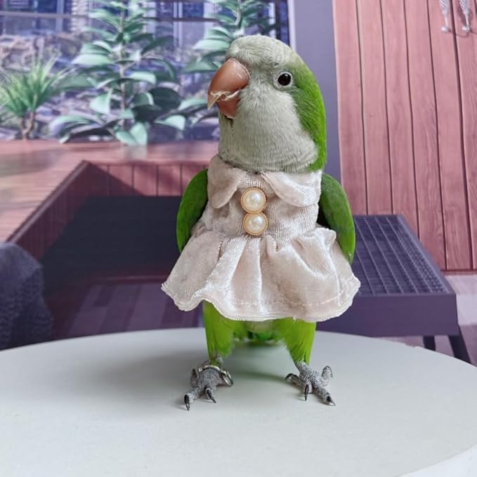 Bird Costume Bird Diaper Flight Suit Parrot Velvet Fleece Skirt Clothes Cosplay Photo Prop for Conure Lovebird Parakeet Cockatiel Macaw Small Animals Apparel (White,X-Small)