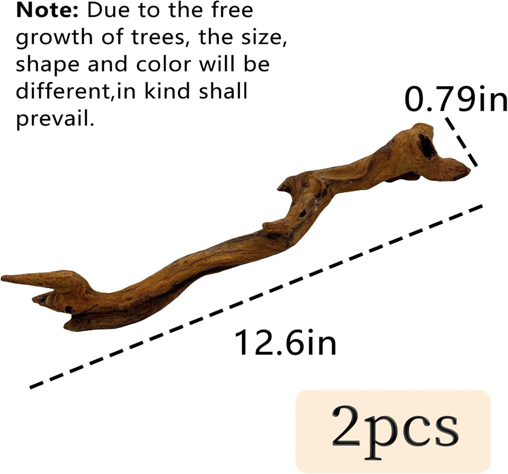BNOSDM 2PCS Snake Climbing Branches,Reptile Natural Coral Driftwood Branches Decor,Lizard Habitat Decoration Accessories, Terrarium Tree Trunk Ornament for Bearded Dragon Gecko Frog Chameleon Spider