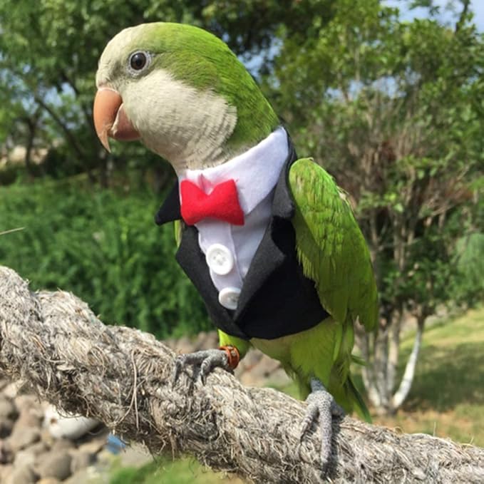 Bird Clothes Birds Flight Suit,Tuxedo Business Suit for Parrots African Greys Parakeet Cockatiel Sun Conure Christmas Party Birthday Cosplay Photo Prop Small Animals Apparel (5XL,Black Suit)