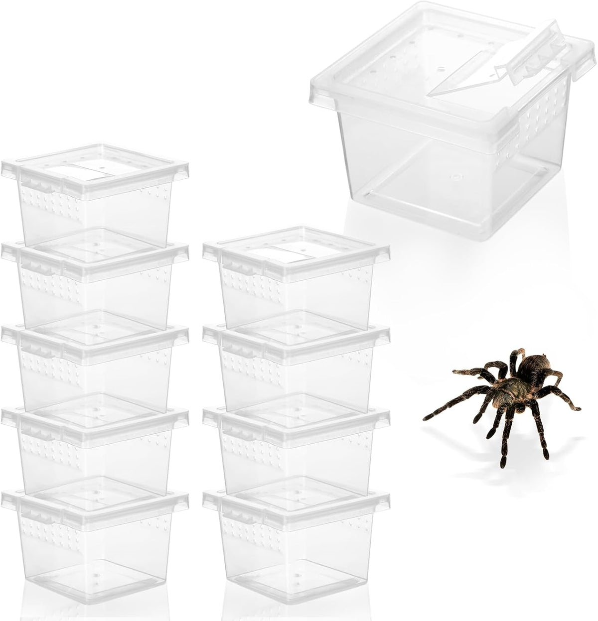 10Pcs Plastic Critter Keeper,Transparent Cricket Keeper for Reptiles,Mini Reptile Feeding Box Kids Bug Catching Kit Suitable for Crickets Scorpions Frogs Centipedes Lizards PP Breeding Box