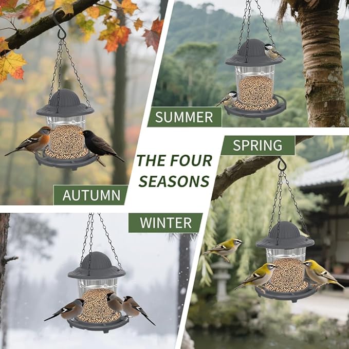 Small Bird Feeder - Durable Plastic Design, Easy Fill & Clean, Attracts Finches & Songbirds, Great for Outdoor Use in Yards, Porches and Decks
