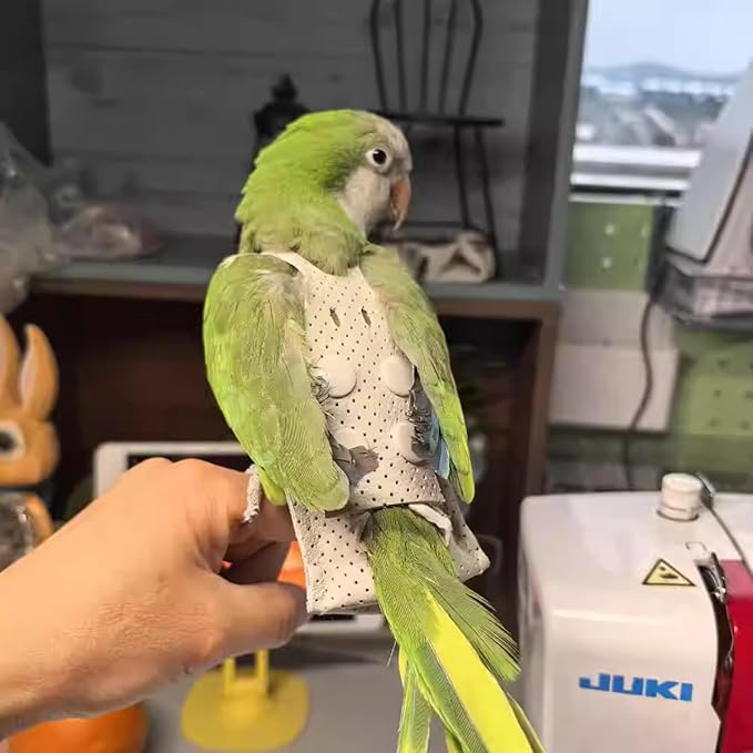 Premium Genuine Cowhide Bird Flight Harness Anti Bite Breathable Parrot Diaper Parrot Suit with Leash for Parakeet Conure Quaker Flying Clothes Rope and Handle (Without Leash,X-Small)