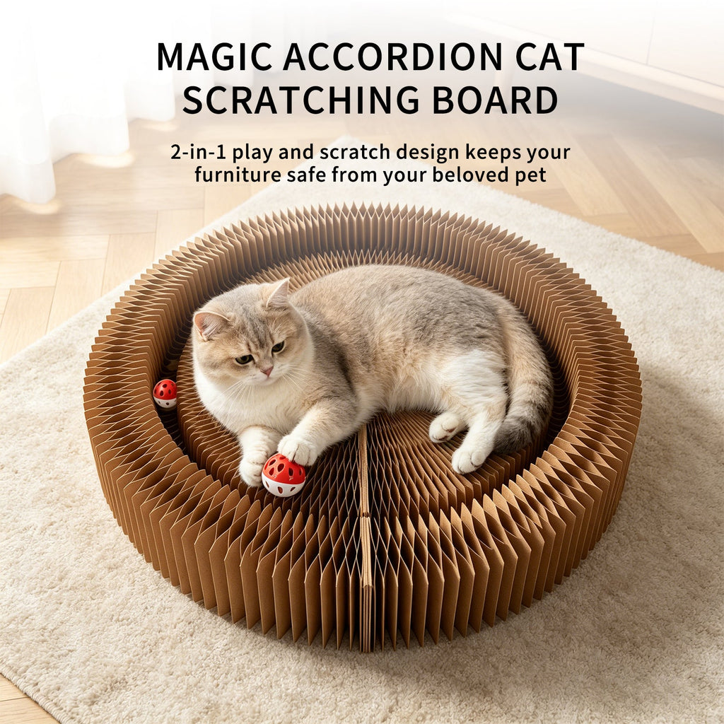 Multi-form Foldable Magic Organ Cat Scratcher Corrugated Cardboard Scratch Board Interactive Cat Toy With Rolling Bell Ball Indoor Kitten Grinding Claw Furniture
