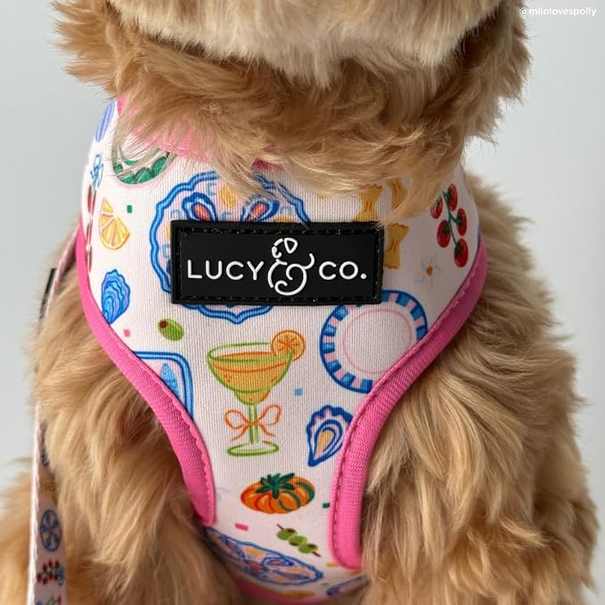 Lucy & Co. Dolce Vita Reversible Dog Harness, Adjustable Comfort Fit with Dual Leash Attachments, X-Large