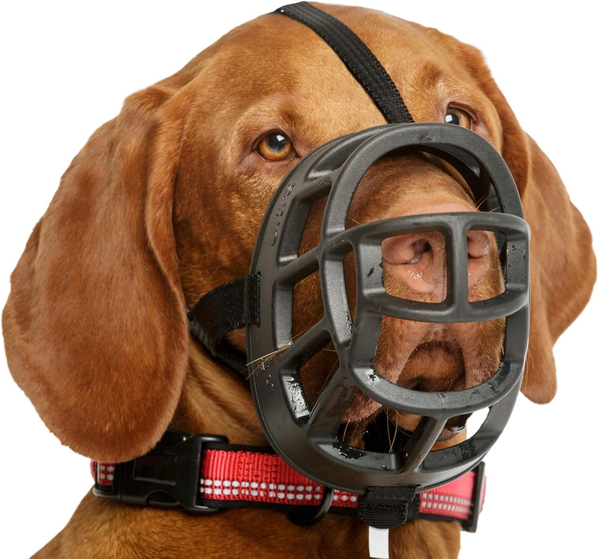 BASKERVILLE ULTRA MUZZLE - Patented Humane Design, Breathable, Dog can Pant and Drink, Adjustable, Padded, Training Muzzle for Medium-sized Dogs, Prevents Biting, Wildlife Scavenging (Size 4, Black)