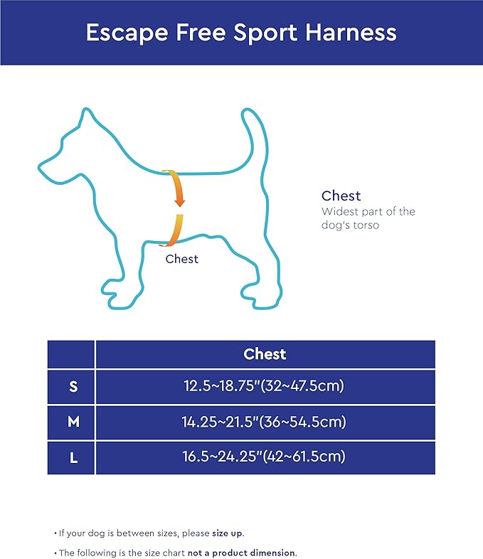 Gooby Escape Free Sport Dog Harness, Choke-Free, Blue, Medium | Patented escape-free frame; Reduces choking; 4-point adjustment; Soft neoprene padding; Durable webbed straps