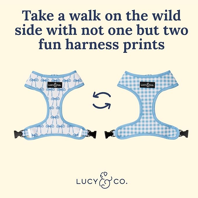 Lucy & Co. Reversible Dog Harness - Water-Repellent Neoprene, Dual-Print Design, Easy Swap Style, Adjustable Comfort Fit - Bowwow Wow! Reversible Harness - Medium