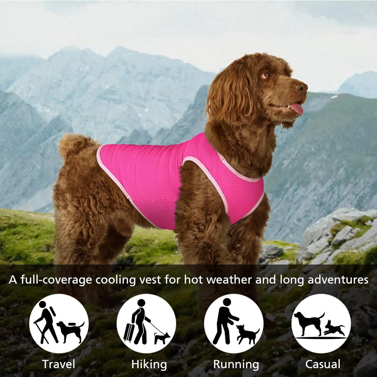 2 Pack Cooling Shirts for Dogs, Breathable Lightweight Dog Shirts for Small Dogs Girl, Sleeveless Sun Protection Shirts for Dog&Cat Puppy Vest Pet Apparel