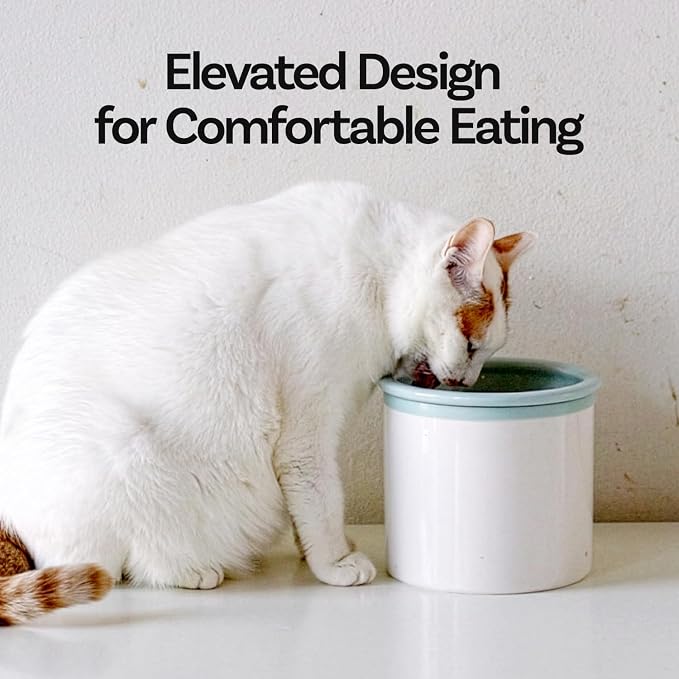 Hello Bowl Elevated Ceramic Cat Bowl with Stand, Raised Whisker-Friendly Feeding Bowl for Cats & Small Dogs, Patented Design, Made in Korea (Blue, Round Only/Wet)