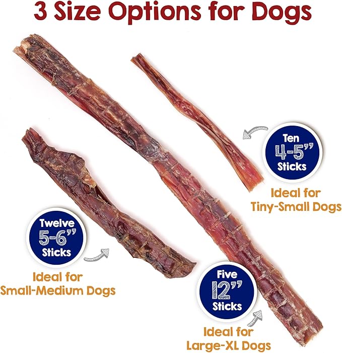 Riley's Steer Bully Sticks for Small to Medium Dogs - Single Ingredient Dog Treat, Easily Digestible, 100% Beef Pizzle Sticks - 5-6", 12ct
