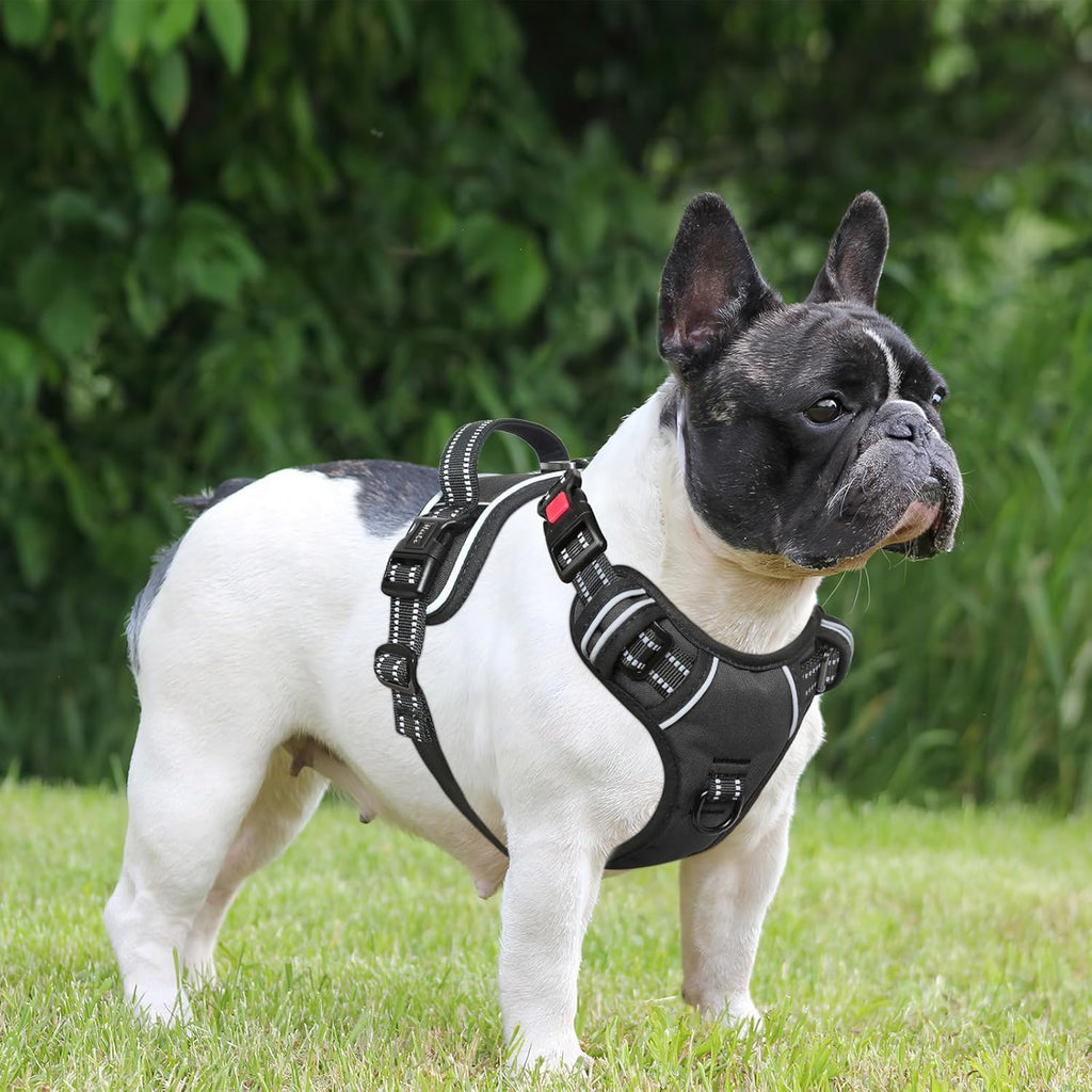 Timos Dog Harness, 3 Snap Buckles No-Pull Soft Padded Dog Vest with 2 Metal Leash Clips, Adjustable Reflective No Choke Pet Harness with Easy Control Handle for Small Dogs,Black,S