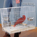 Durable Easy Portable Metal Travel or Veterinary Collapsable Parrot Bird Carrier Beaks Proof Cage with Stainless Steel Feeder Bowls Natural Wooden Perch Stand