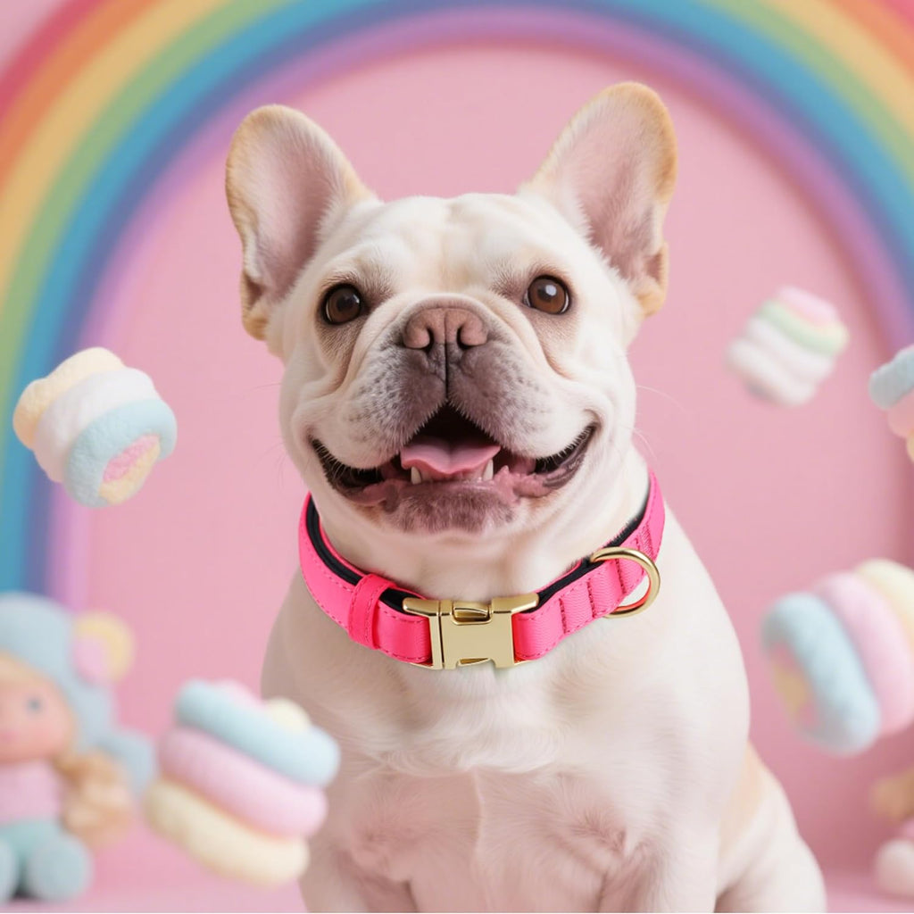 Didog Soft Padded Dog Collar for Large Dogs, Colorful and Durable Pet Collar with Quick Release Buckle, Light and Breathable for Daily Walking, Pink, L