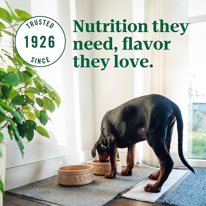 Nutro Ultra Large Breed Puppy Dry Dog Food, Chicken, Lamb and Salmon Protein Trio, 22 lb Bag