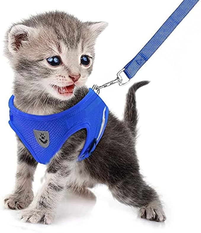 FEimaX Dog Harness and Leash Set for Walking, Soft Mesh Adjustable Easy Control Lightweight Cat Vest Harnesses with Reflective Strips, Escape Proof Small Dogs Cats Vests (Blue, Small)