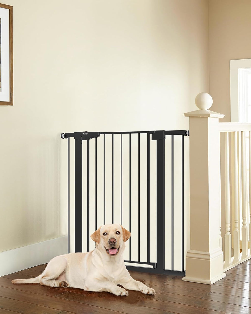 Cumbor 36" Extra Tall Baby Gate for Dogs and Kids with Wide 2-Way Door, 29.7-40.6" Width, and Auto Close Personal Safety for Babies and Pets, Fits Doorways, Stairs, and Entryways