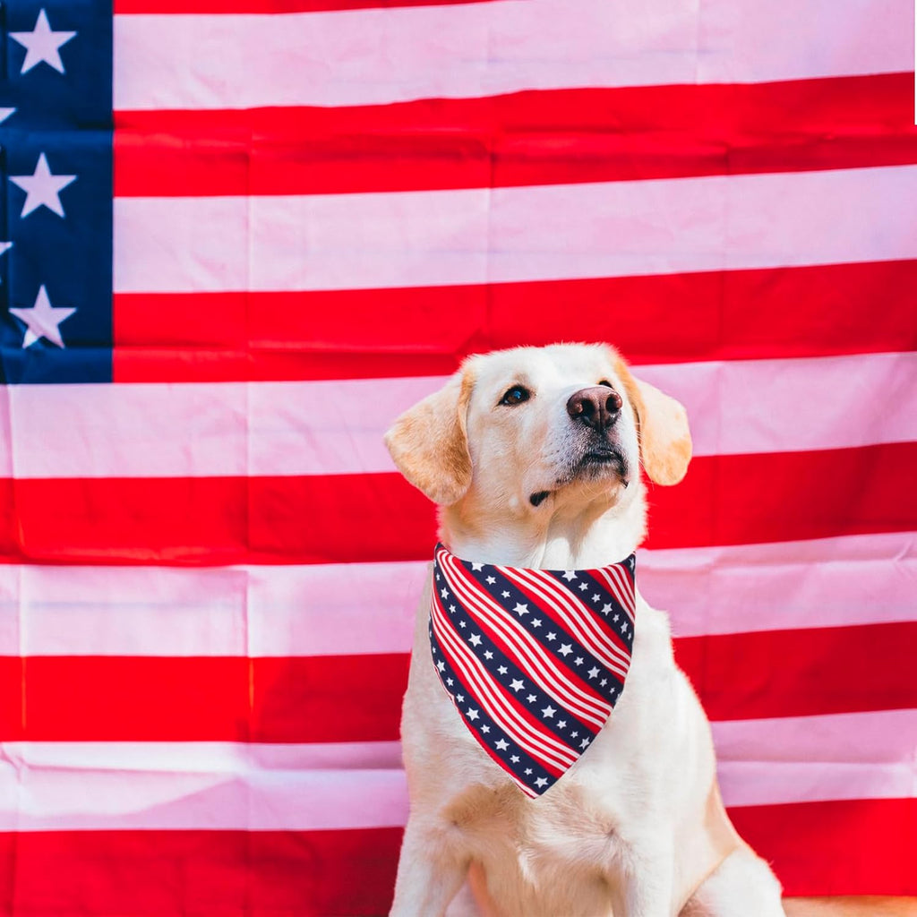 PTDECOR American US Flag Dog Bandana 4th of July Dog Bandanas Reversible Triangle Pet Bibs Scarf for Large and Extra Large Dogs (Style 1, X-Large)