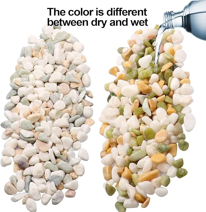 TOYPOPOR Mixed Color Decorative Rocks Stones Pebbles for Plants Garden Gravel White Rocks with Yellow, Green Pastel Accents Vase Fillers Natural Stone Top Dressing for Potted Plants Succulents 6 lbs