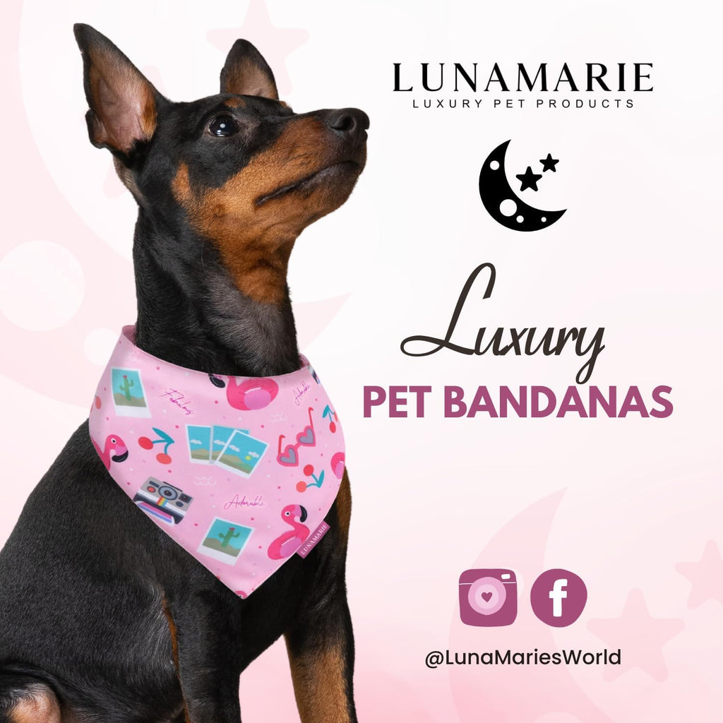 LunaMarie - Luxury Pet Birthday Bandanas -Premium & Silky Poly Fabric | 100% Handmade | Custom Shape Dual Layered (Summer Vibes, Medium)