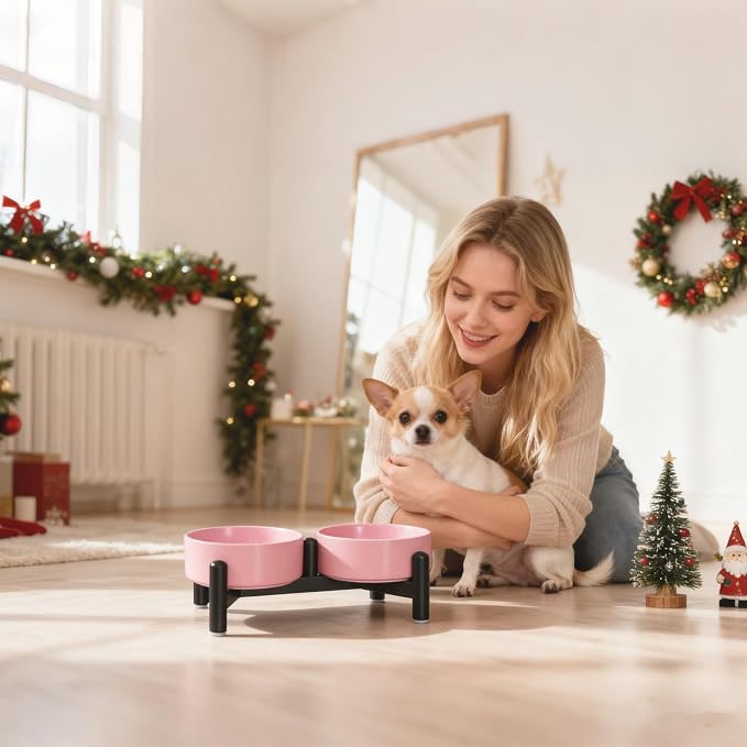Raised Ceramic Dog Bowl Set with Stand, 1.6 Cups Elevated Dog Food Stand | 5.1'' Double Dog Food and Water Bowl Set, Non-Slip Dog Feeding Dishes for Small Breeds and Cats, 10.8 OZ, Pink