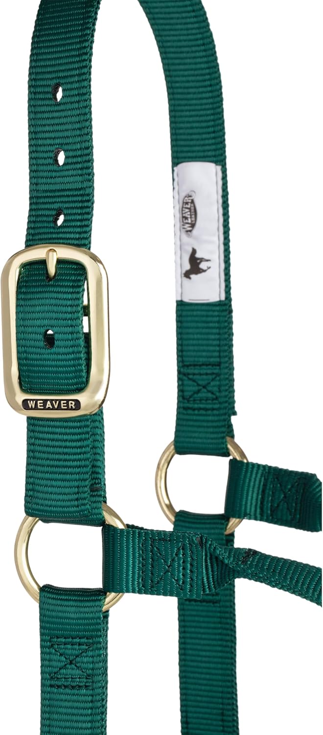 Weaver Equine Nylon Horse Halter, Triple-Ply Cheek Design, Original Non Adjustable Halters for Horses, Equine Tack,Average Size, Black