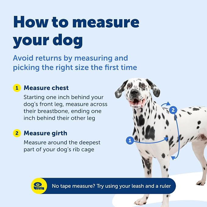 PetSafe Easy Walk Harness, No Pull Dog Harness, Fawn, Small | Patented Martingale Loop Gives Gradual Shoulder Pressure to Stop Pulling, Front-Chest Leash Clip Prevents Gagging