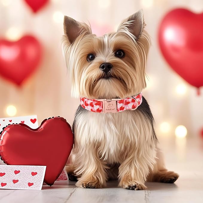 Valentines Dog Collar, Cute Pink Valentine Dog Collars, Doodle Heart Pattern, Adjustable Heavy Duty Pet Collar for Small Medium Large Dogs with Metal Buckle XL