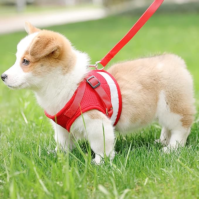 FEimaX Dog Harness and Leash Set for Walking, Soft Mesh Adjustable Easy Control Lightweight Cat Vest Harnesses with Reflective Strips, Escape Proof Small Dogs Cats Vests (Red, X-Small)