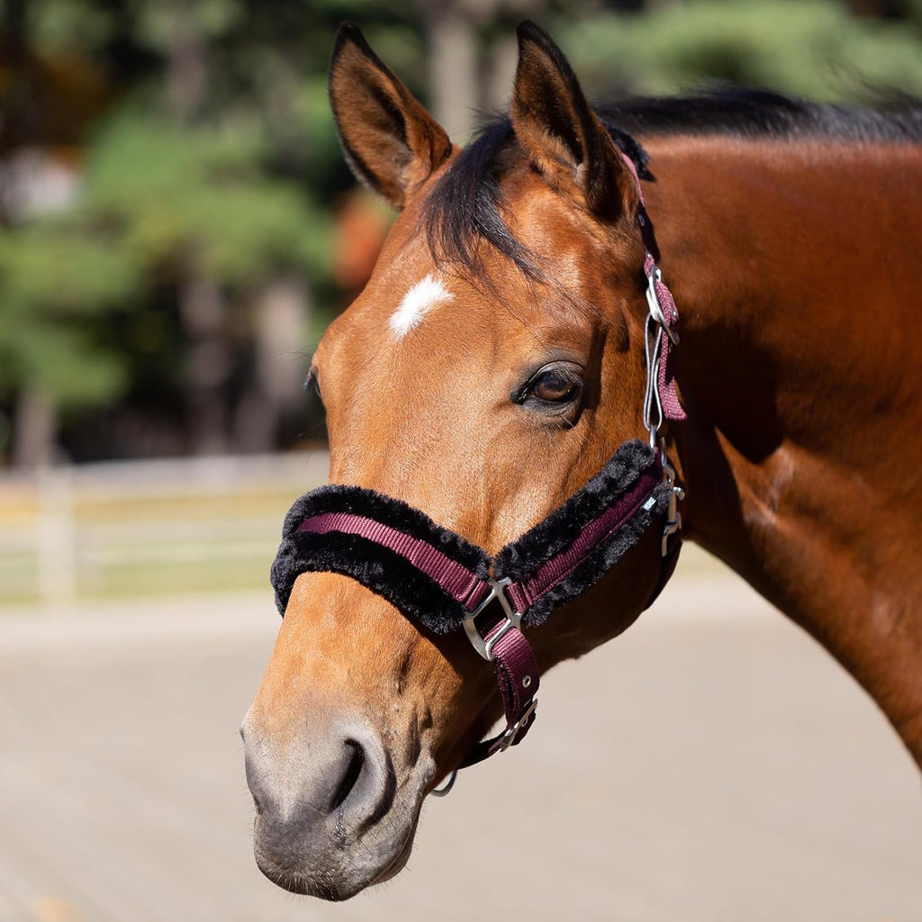 Equinavia Valkyrie Soft Ultra Fleece Padded Adjustable Breakaway Horse Halter - Wine Red/Black - Warmblood