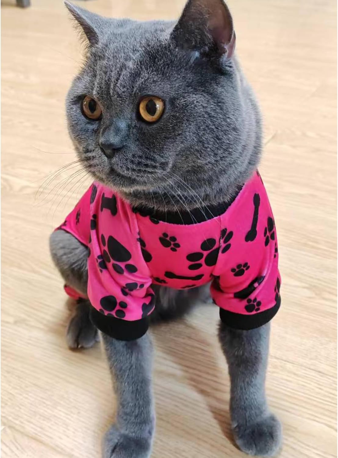 PET SHOW 4 Pack Small Dog Pajamas Paw Bone Patterns Cute Clothes for Medium Dogs Soft Fleece Stretchy PJs 4 Legged Jumpsuit Puppy Cats Onesies Outfits with Sleeve Dachshund Doggies Girl Boy (X-Small)