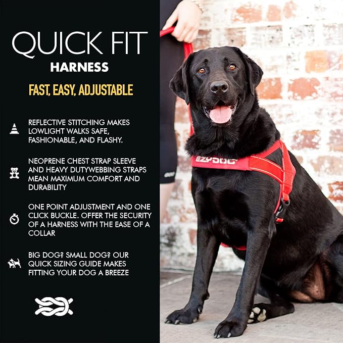 EzyDog Quick Fit Dog Harness, Soft Neoprene Padding - Small, Orange | Fast One-Click Buckle, Adjustable Fit, Strong Reinforced Materials, Reflective Stitching, No Pull Dog Harness, Easy Walking