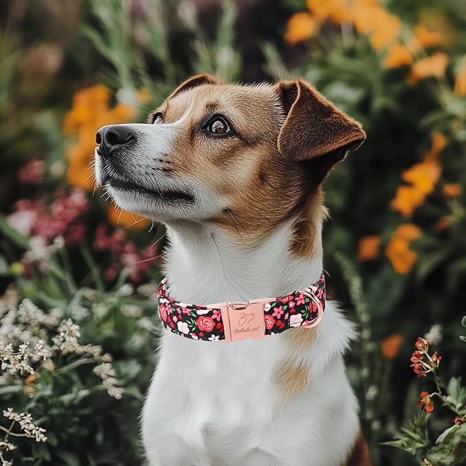 Floral Dog Collar - Rose Red Wild Flowers Pattern Cute Puppy Collar, Adjustable Winter Holiday Metal Buckle Dog Collars for Small Medium Large Dogs L