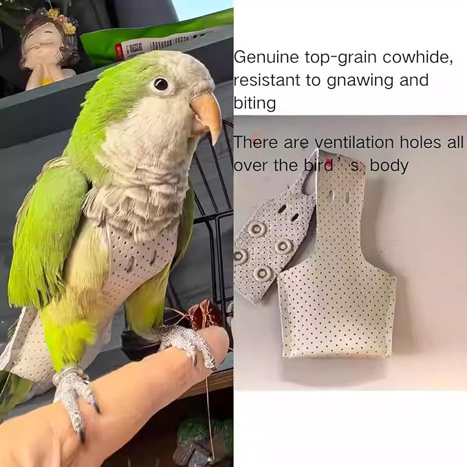 Premium Genuine Cowhide Bird Flight Harness Anti Bite Breathable Parrot Diaper Parrot Suit with Leash for Parakeet Conure Quaker Flying Clothes Rope and Handle (Without Leash,XX-Large)