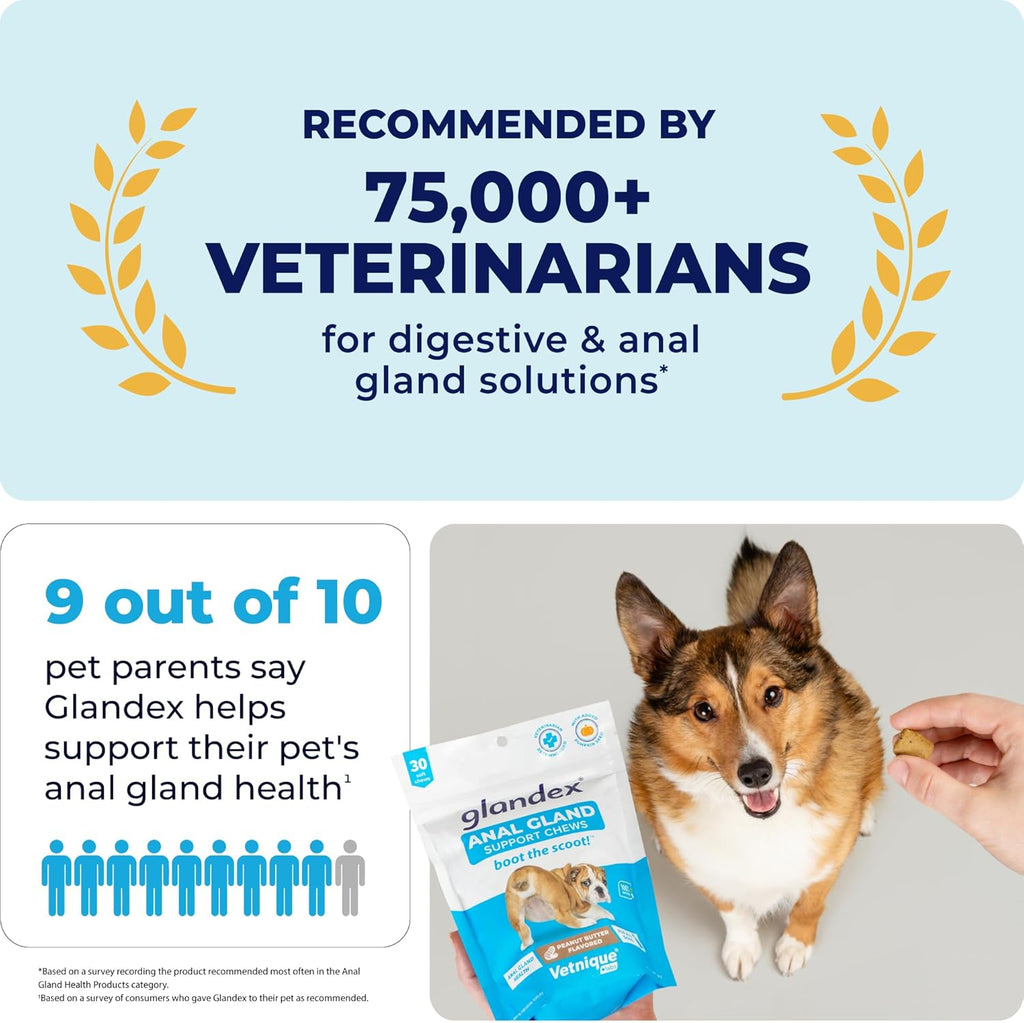 Vetnique Labs Glandex Anal Gland Soft Chew Treats with Pumpkin for Dogs Digestive Enzymes, Probiotics Fiber Supplement for Dogs Boot The Scoot (Bacon/Pork Chews, 30 Count)